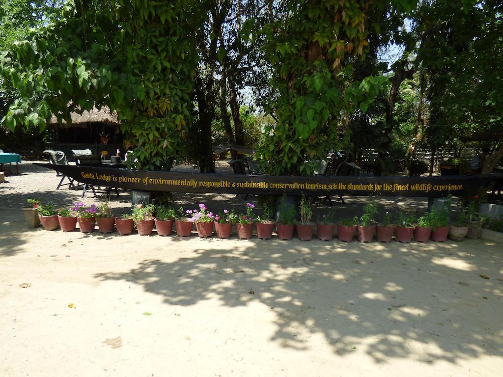 Chitwan Gaida Lodge سوراها المظهر الخارجي الصورة