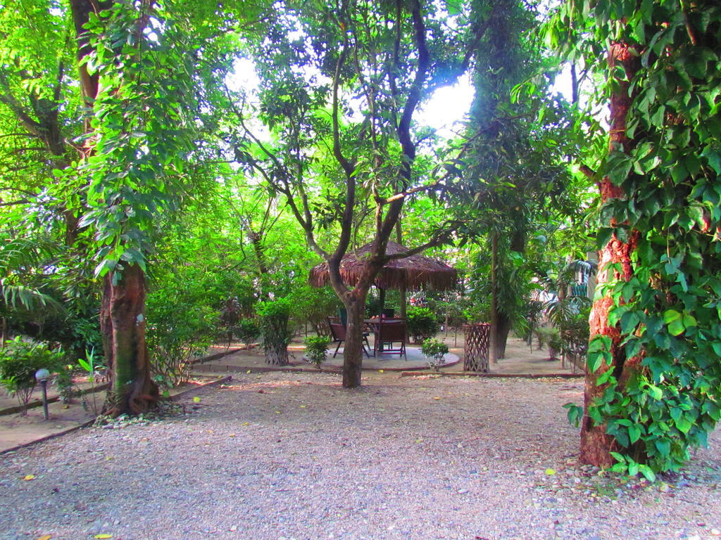 Chitwan Gaida Lodge سوراها المظهر الخارجي الصورة
