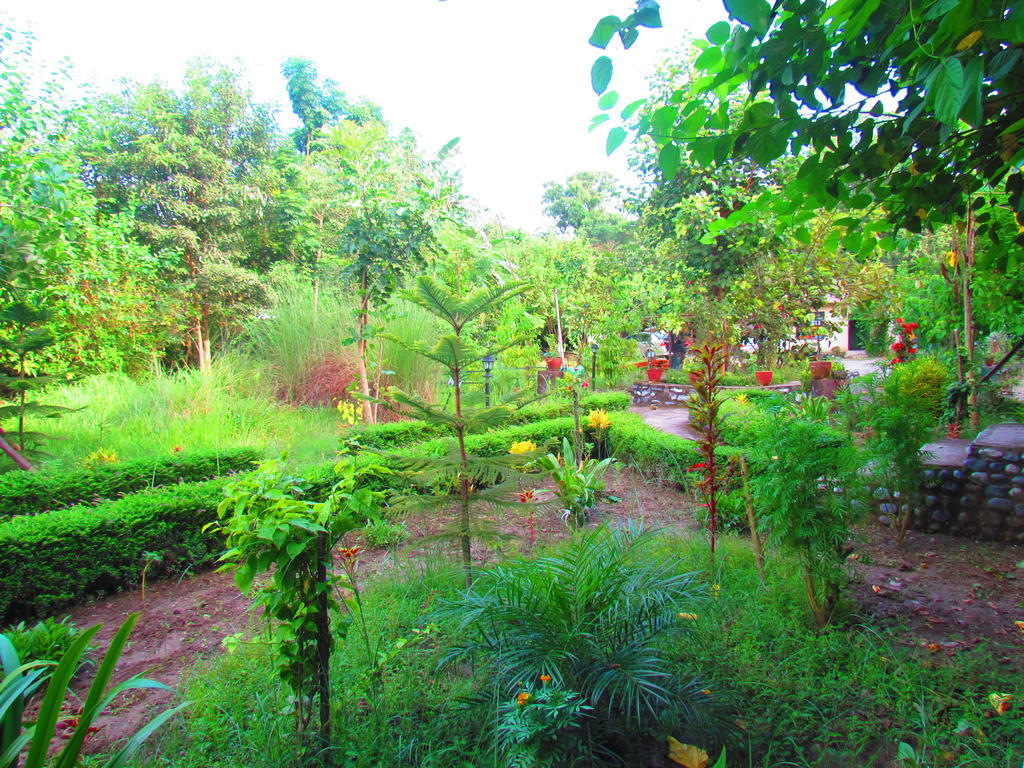 Chitwan Gaida Lodge سوراها المظهر الخارجي الصورة