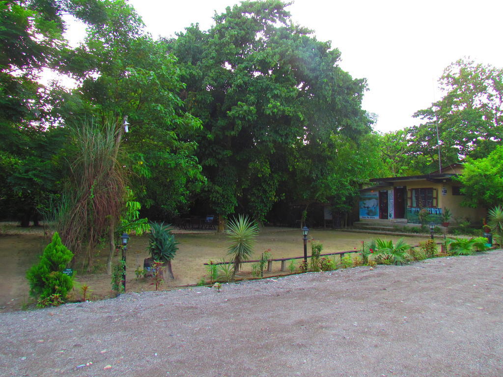 Chitwan Gaida Lodge سوراها المظهر الخارجي الصورة