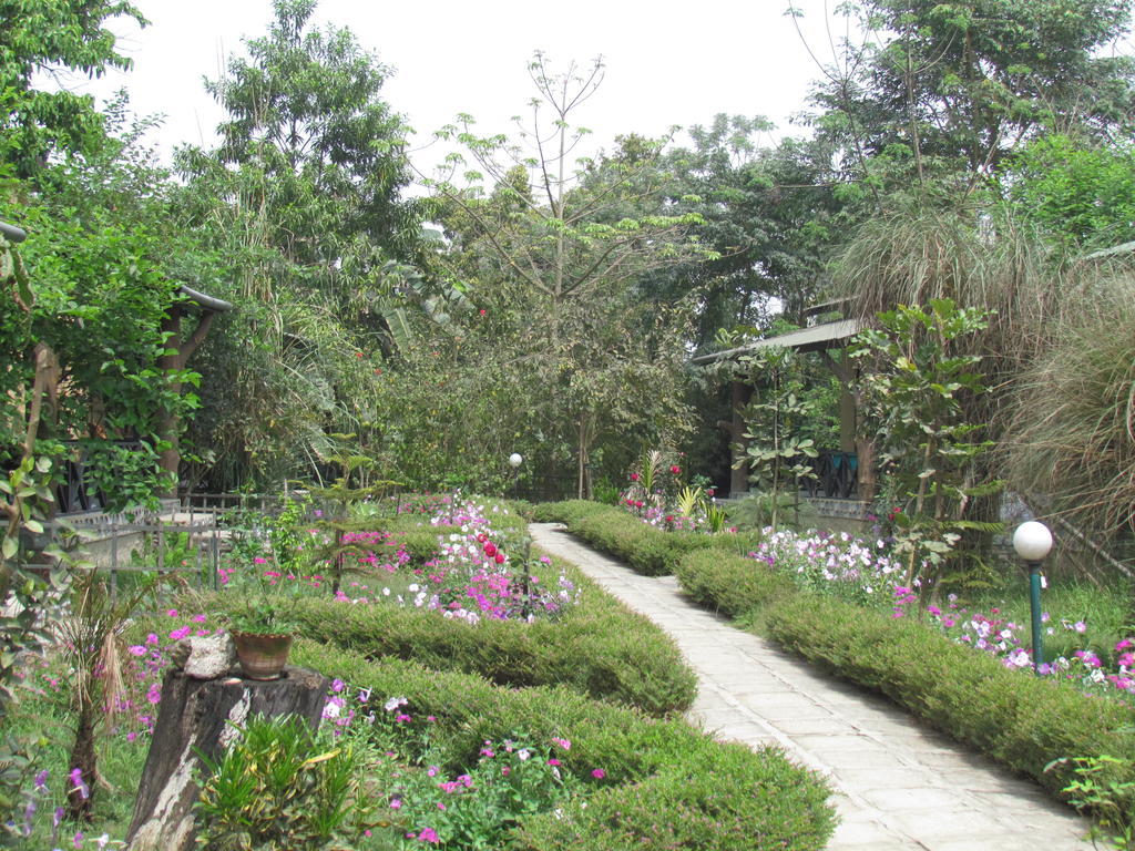 Chitwan Gaida Lodge سوراها المظهر الخارجي الصورة
