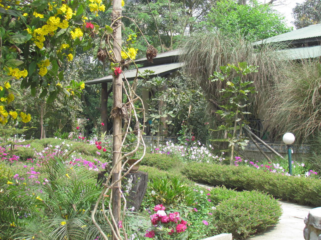 Chitwan Gaida Lodge سوراها المظهر الخارجي الصورة