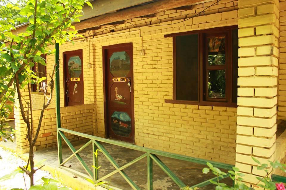 Chitwan Gaida Lodge سوراها المظهر الخارجي الصورة