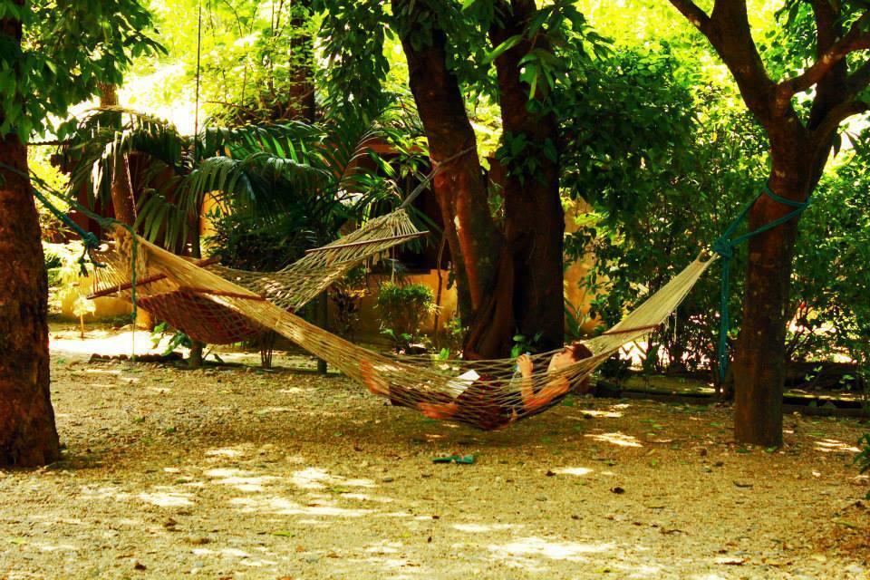 Chitwan Gaida Lodge سوراها المظهر الخارجي الصورة